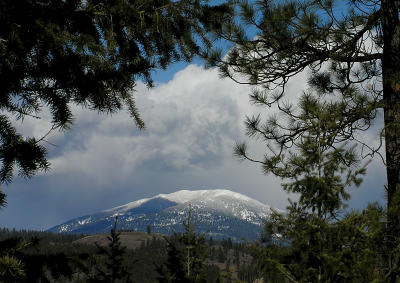 Old Dominion Mt.