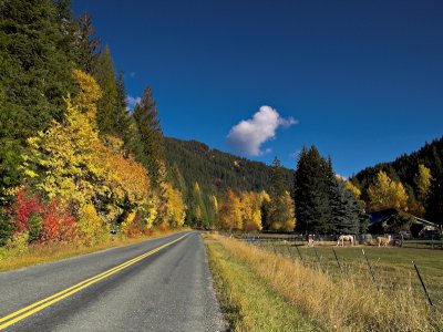 Road to Sullivan Lake
