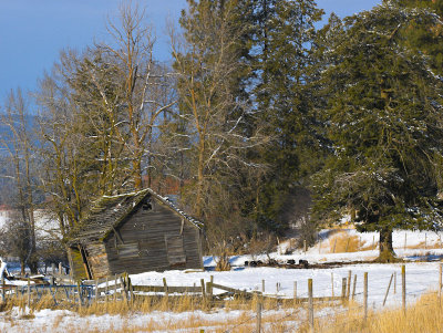 Shack, Marble Valley-Basin Rd.