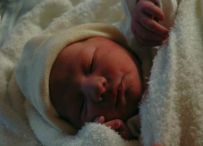 g3/17/541317/3/52923126.DSC_0071800x578.jpg