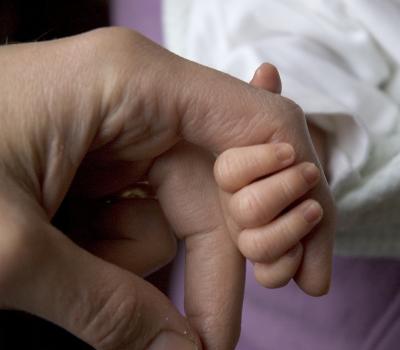 g3/17/541317/3/54019472.Hands2913x800.jpg