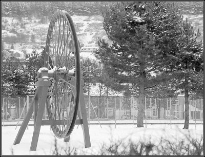 Wheely