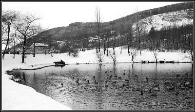 Snow 3