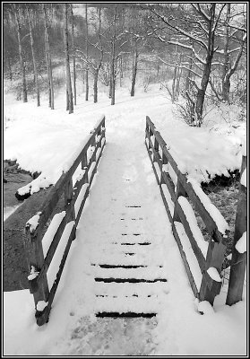 Snow 4
