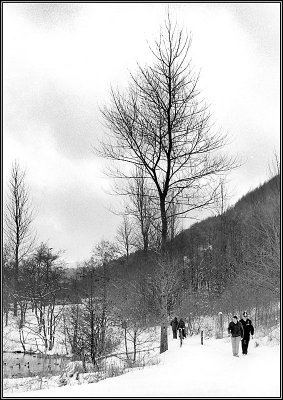 Snow 9