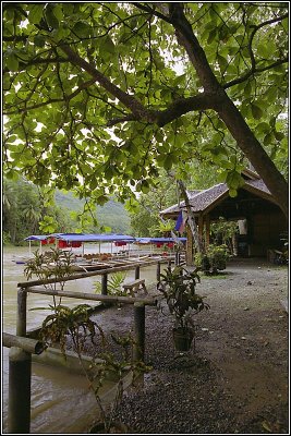 Tarsier Sanctuary