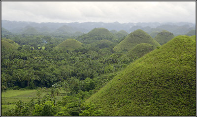 Chocolate Hills 14