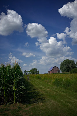 Farm and  Country scenes