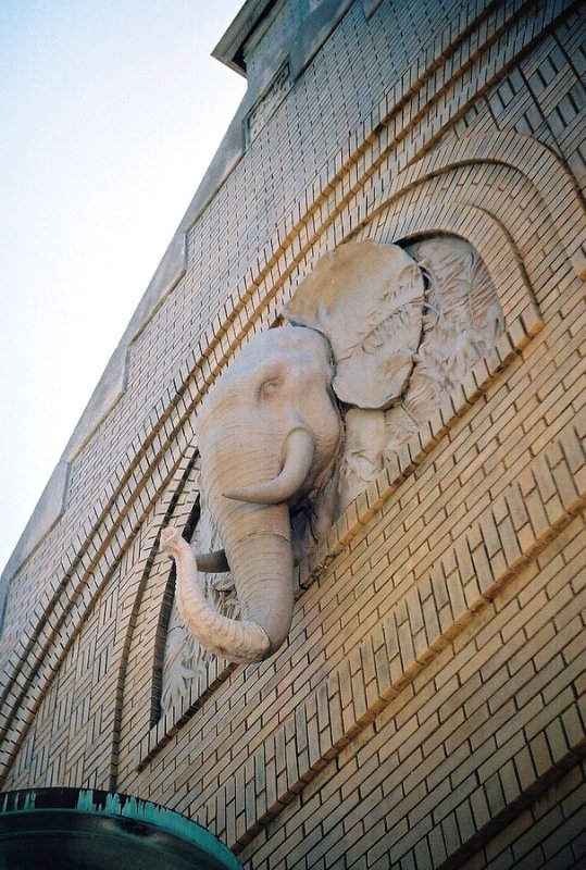 14A.JPG