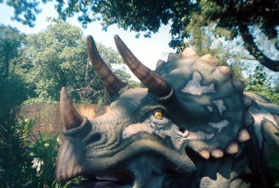 014_triceratops.JPG