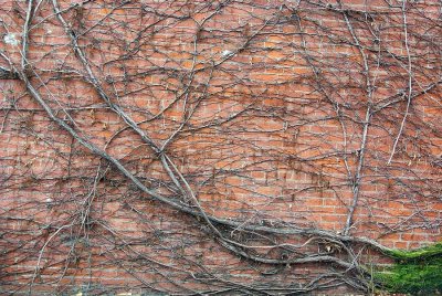 18_northwall_6278.JPG