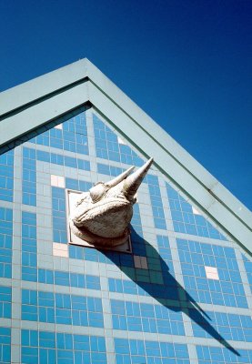 03_chameleon_in_blue.jpg