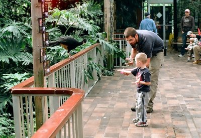 06_aviary.jpg