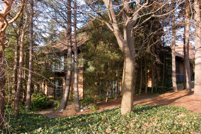 Rear Exterior View