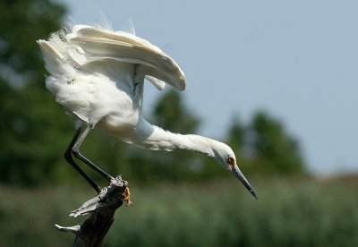 IMG_7633_2.jpg
