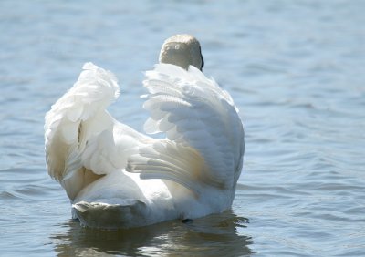IMG_6707 1_2.jpg