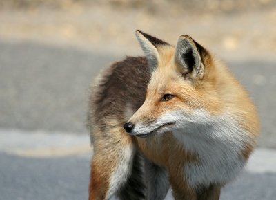 IMG_7306_3.jpg