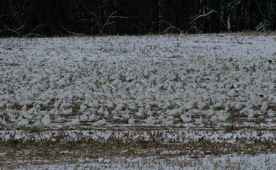IMG_5319_2.jpg