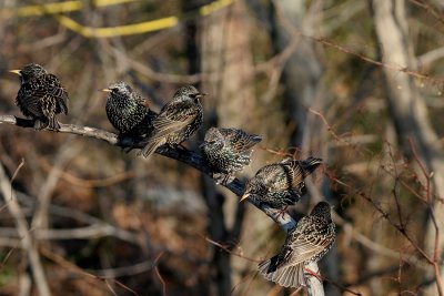 IMG_5959_2.jpg