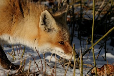 IMG_7157_2.jpg