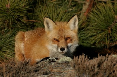 IMG_7128_2.jpg