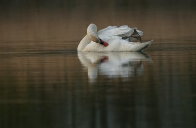 IMG_9420_2.jpg