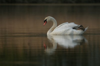 IMG_9421_2.jpg