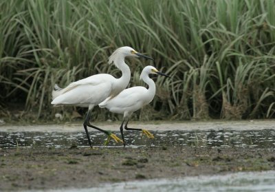 IMG_3025_2.jpg