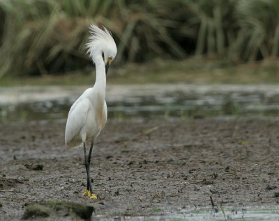 IMG_3039_2.jpg