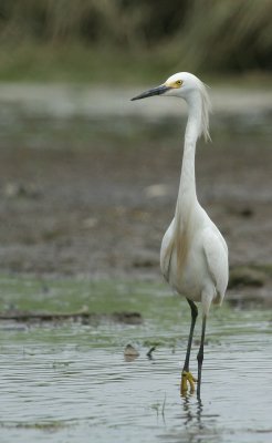 IMG_3047_2.jpg