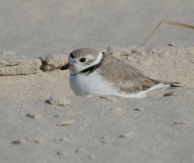 IMG_4208_2.jpg