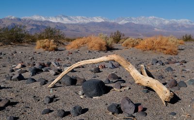 Death Valley Victim
