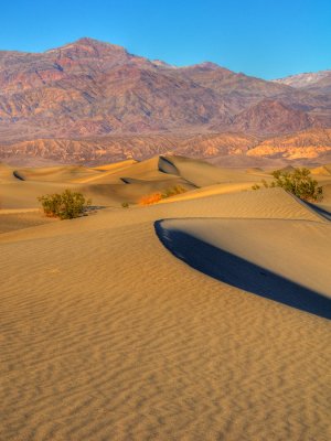 Mesquite Flat Sand Dunes