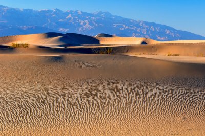 Sand Dune Ripples