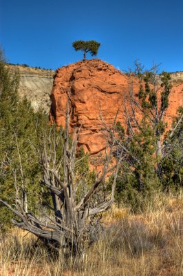 Grand Staircase - Escalante National Monument