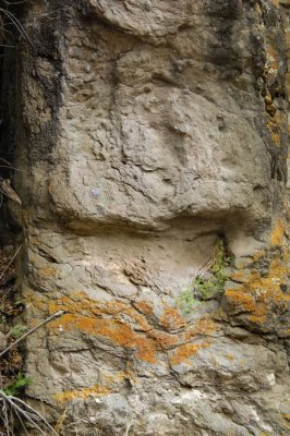 Dike Face with Precambrian Inclusions