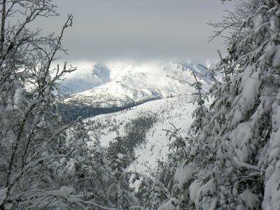 En revenant du Lac aux Amricains