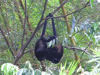Costa Rica 06