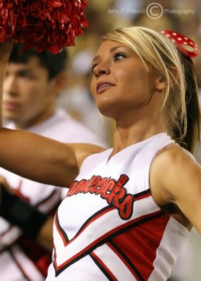 Jacksonville State Gamecocks Cheerleader