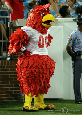 Jacksonville State University Gamecocks mascot
