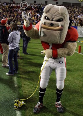 Georgia Bulldogs mascot Hairy Dawg roams the sidelines with a Buzz doll in tow