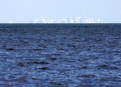 The city of Miami from Convoy Point, Biscayne National Park