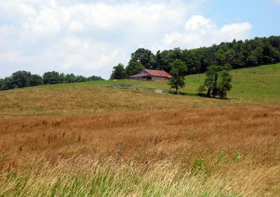 Field and Barn