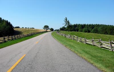 Wooden Fences and the Road