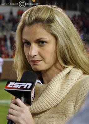 Erin  Andrews - ESPN Reporter