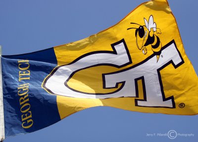 The Georgia Tech Yellow Jackets flag