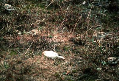 g3/17/619817/3/53398960.a.jpg