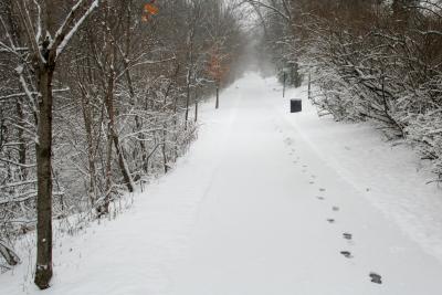 Trail Snow 3.21.06.114.jpg
