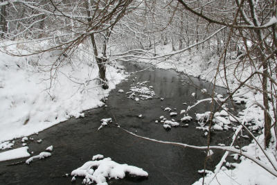 Trail Snow 3.21.06.120.jpg
