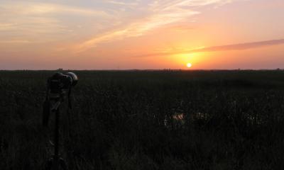 Ready for Sunset